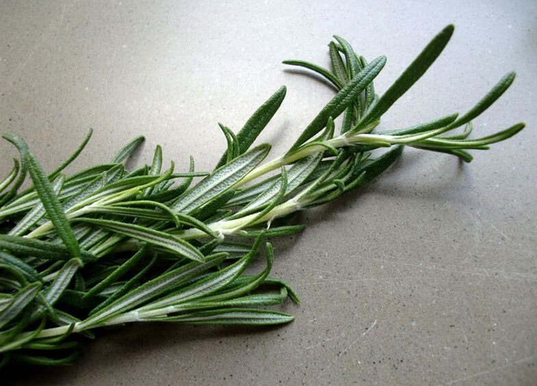 Rosemary would increase power