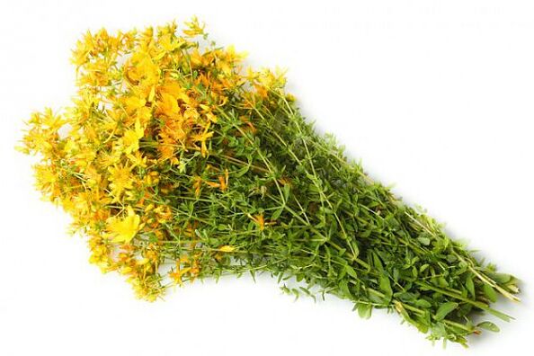 St. John's wort, which helps to increase the potency of middle-aged men