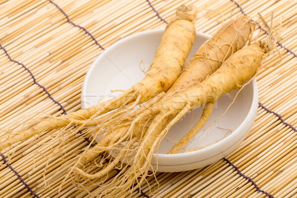 The best potency booster is ginseng root